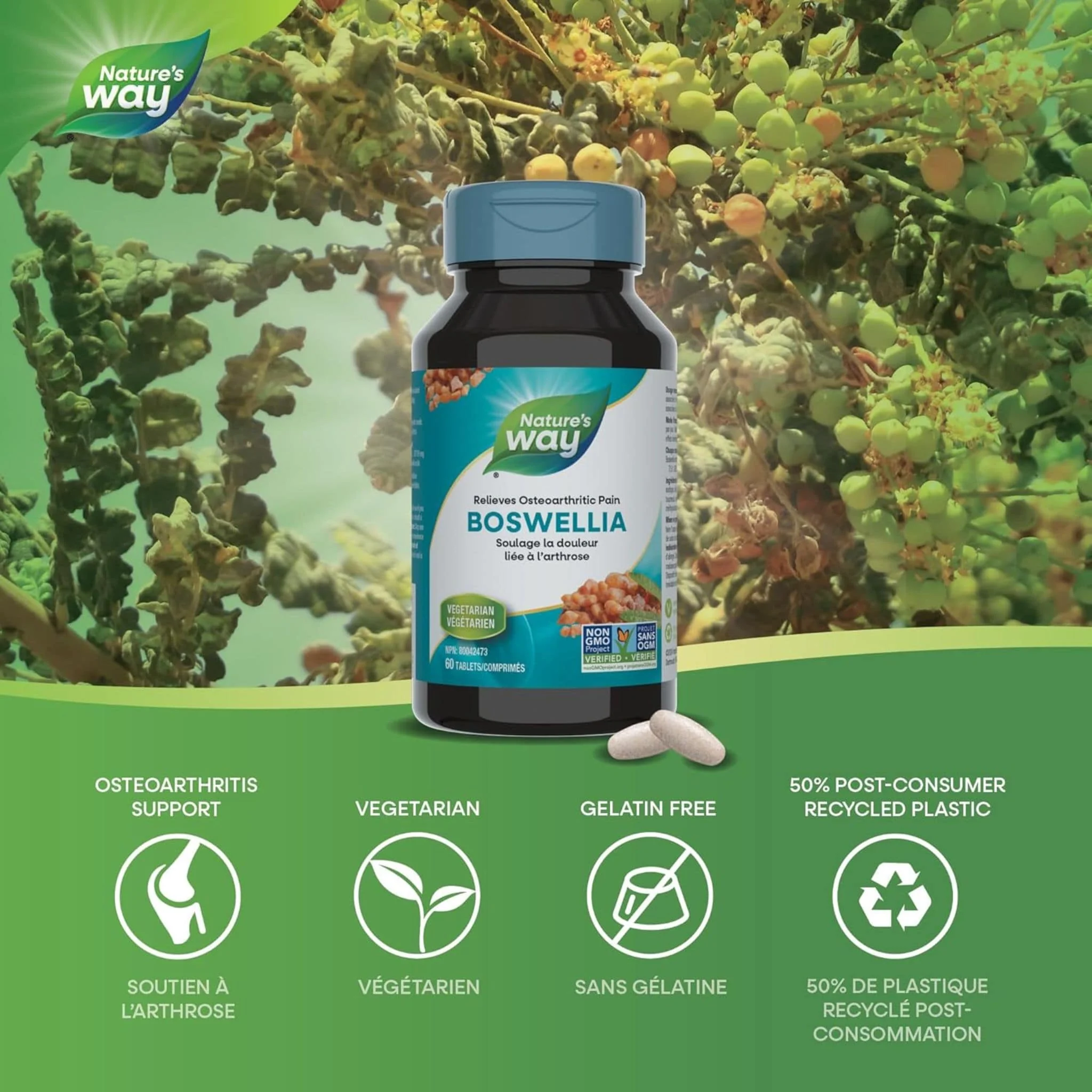 Nature's Way Boswellia Standardized Tablets, 65% Boswellic Acid, Non-GMO - Image 3