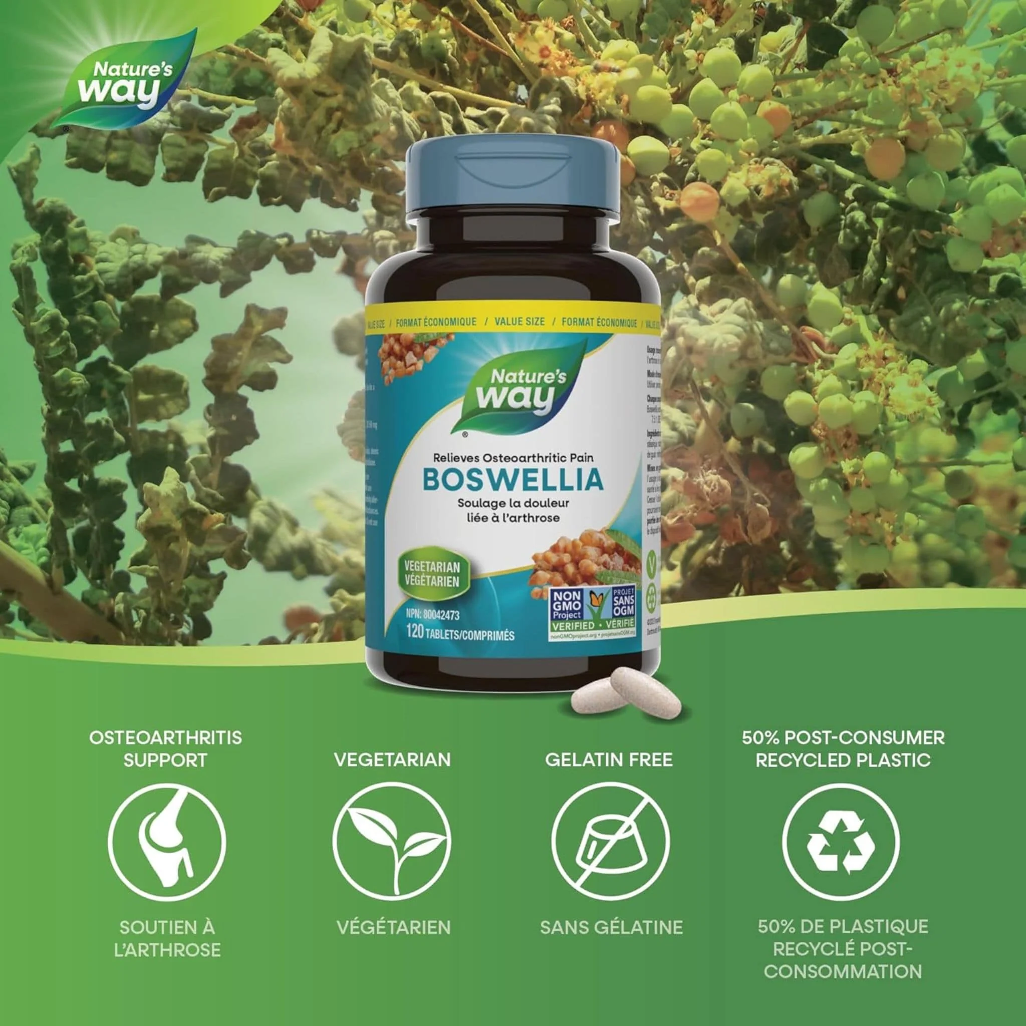 Nature's Way Boswellia Standardized Tablets, 65% Boswellic Acid, Non-GMO - Image 8
