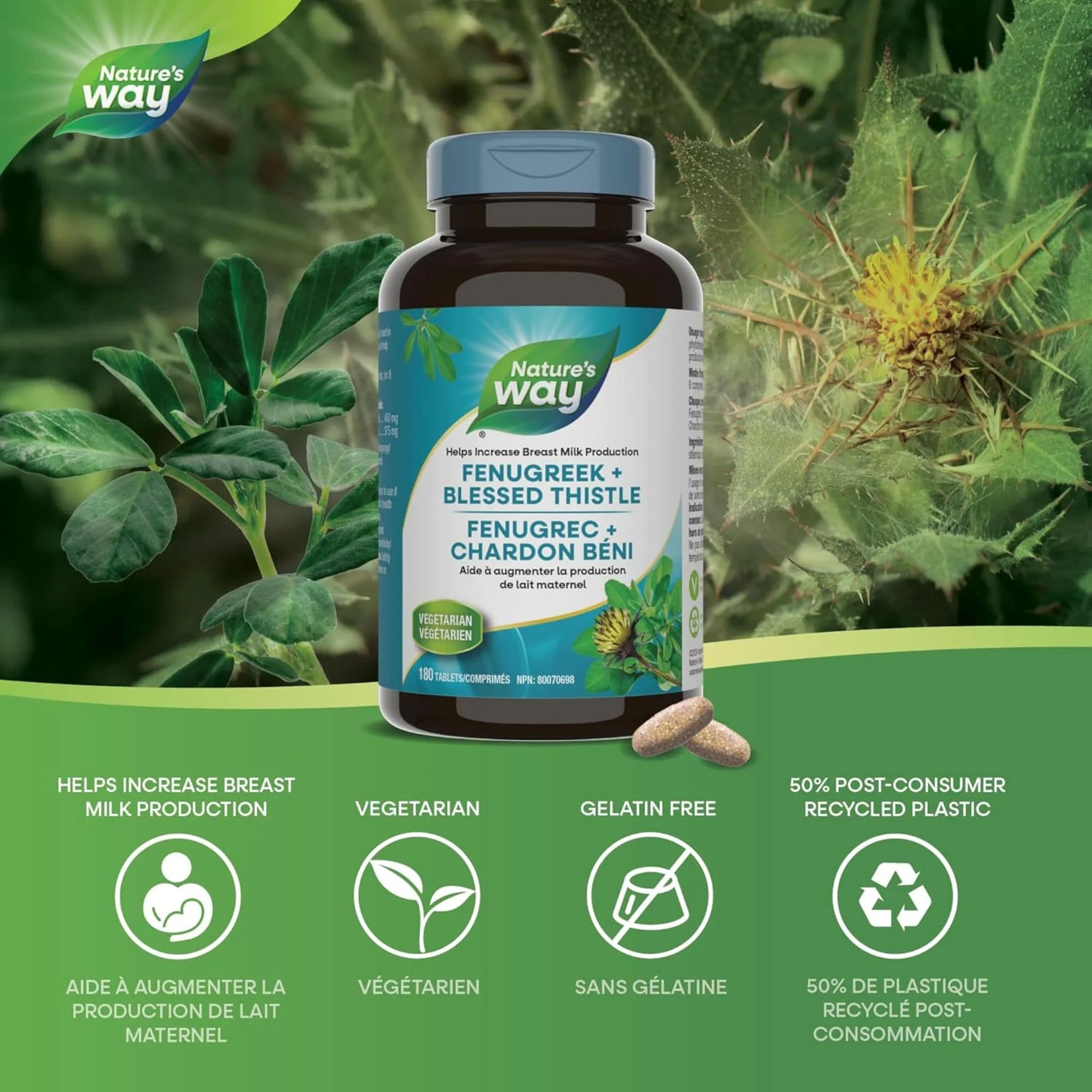 Nature's Way Fenugreek + Blessed Thistle, 180 Tablets - Image 3
