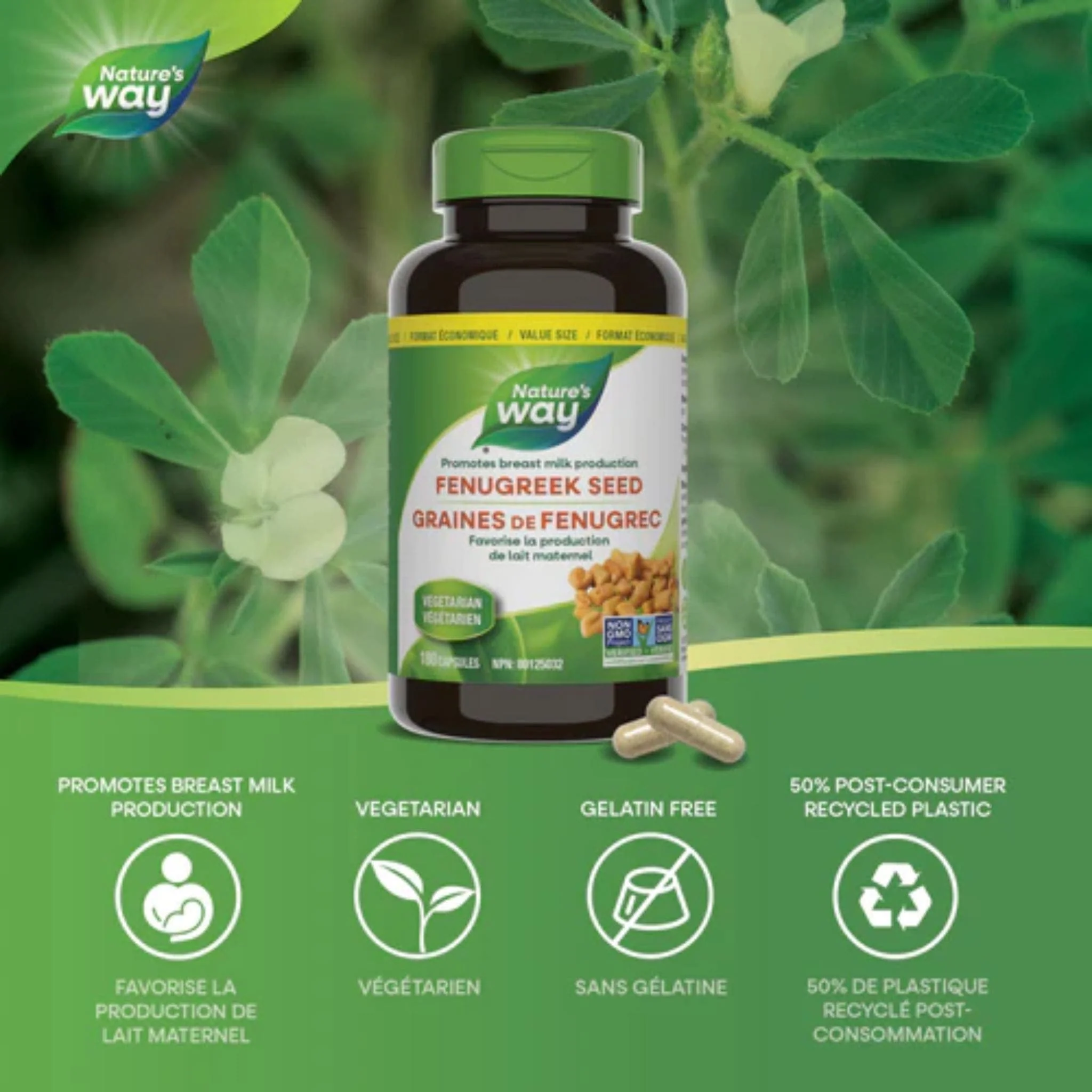 Nature's Way Fenugreek Seed Capsules - Image 7