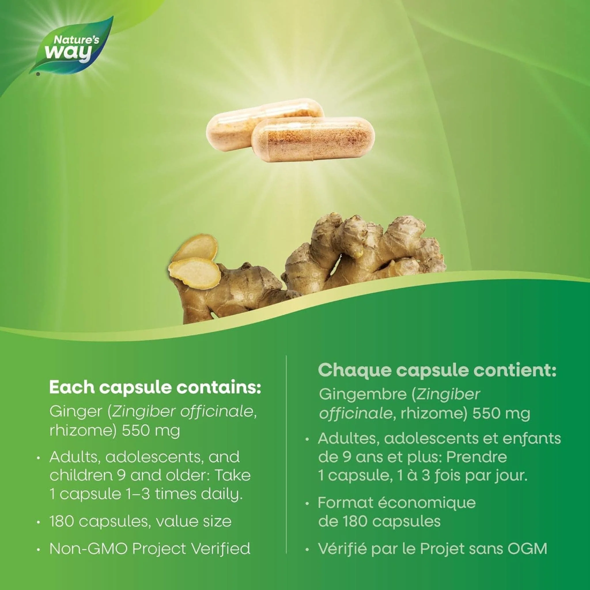 Nature's Way Ginger Root - Image 11