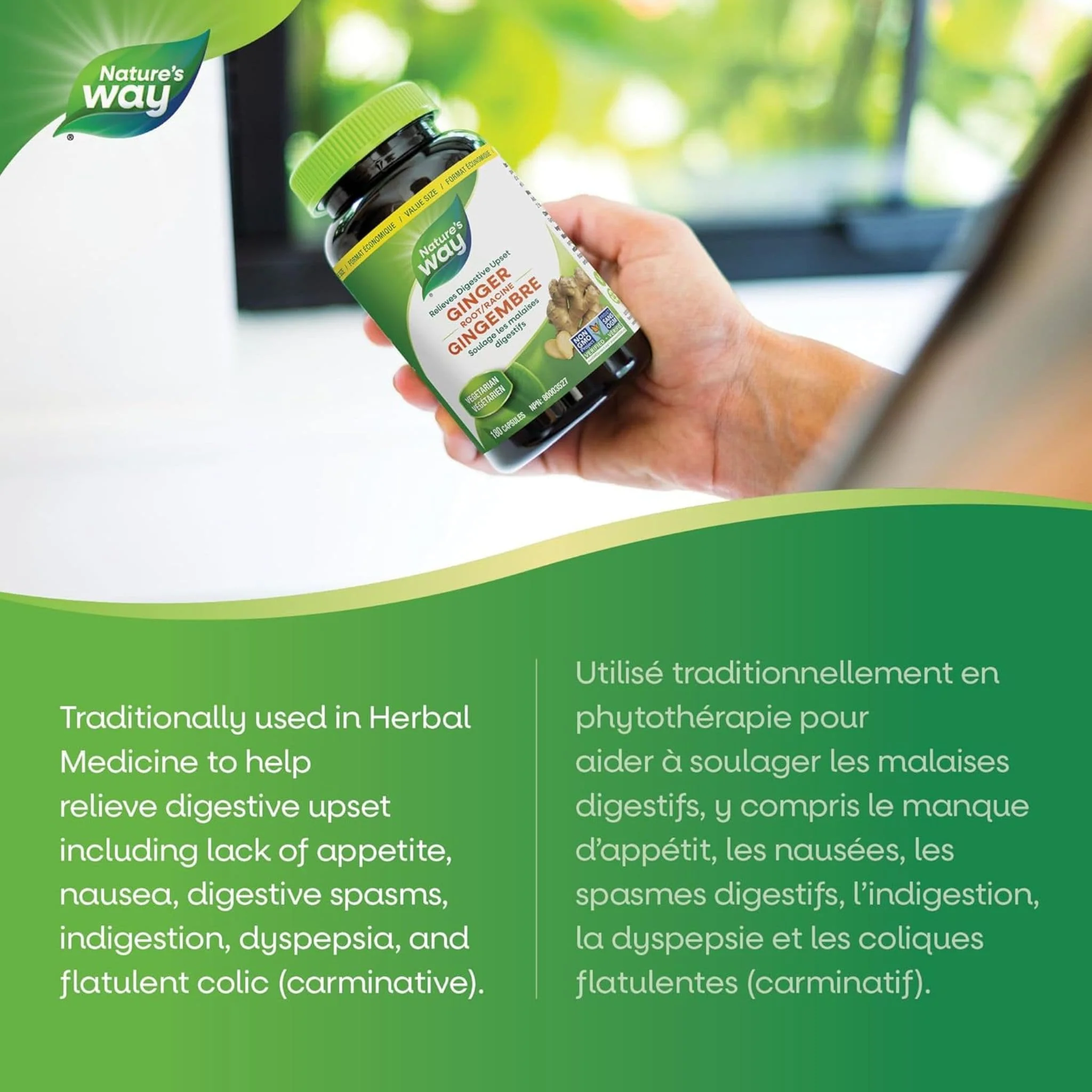 Nature's Way Ginger Root - Image 12