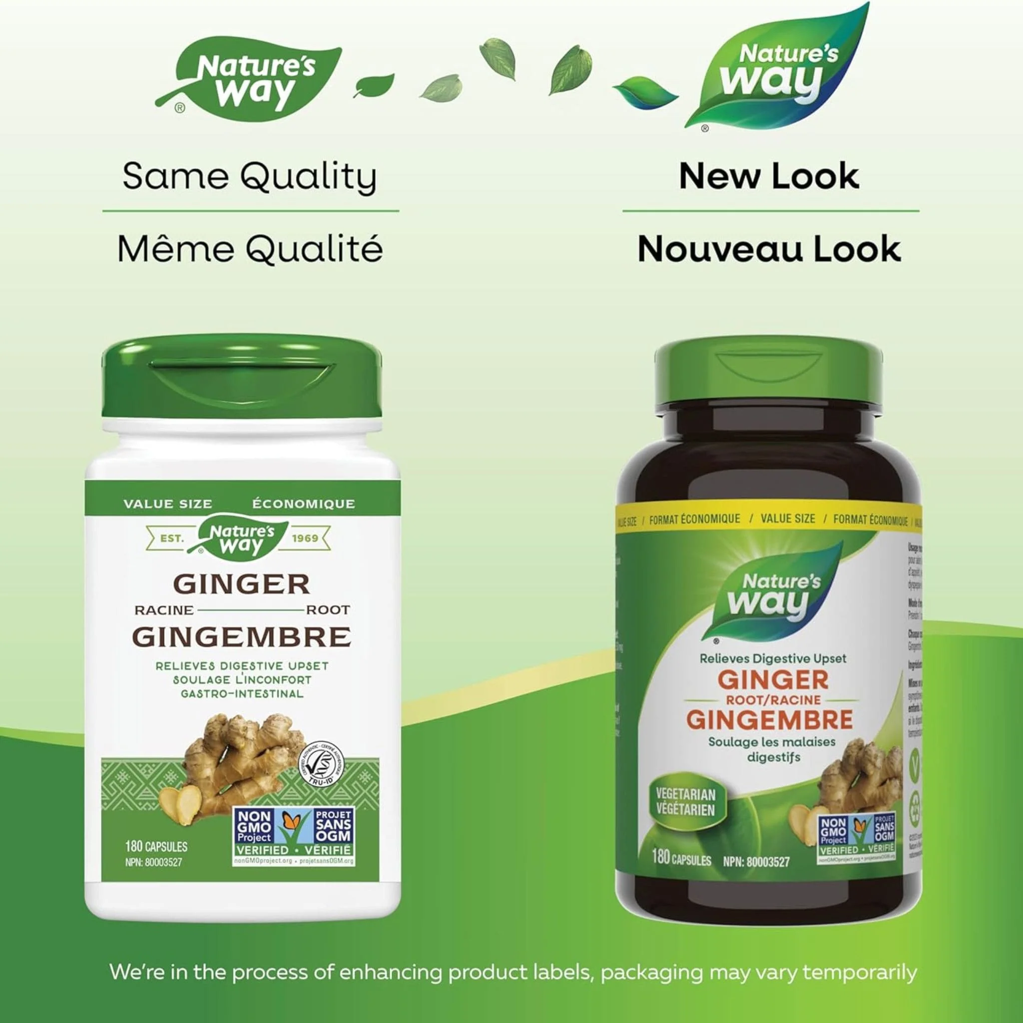 Nature's Way Ginger Root - Image 13