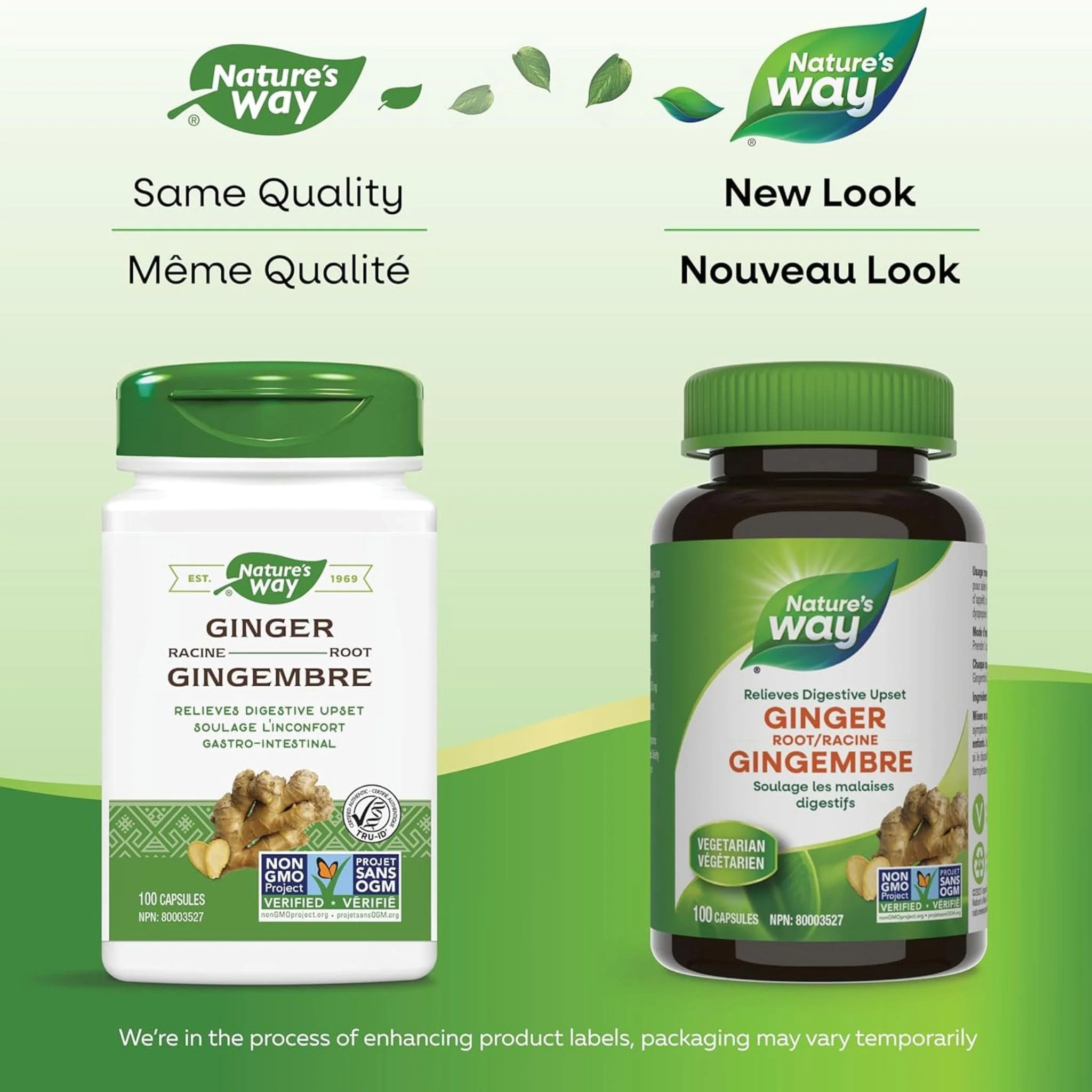 Nature's Way Ginger Root - Image 6