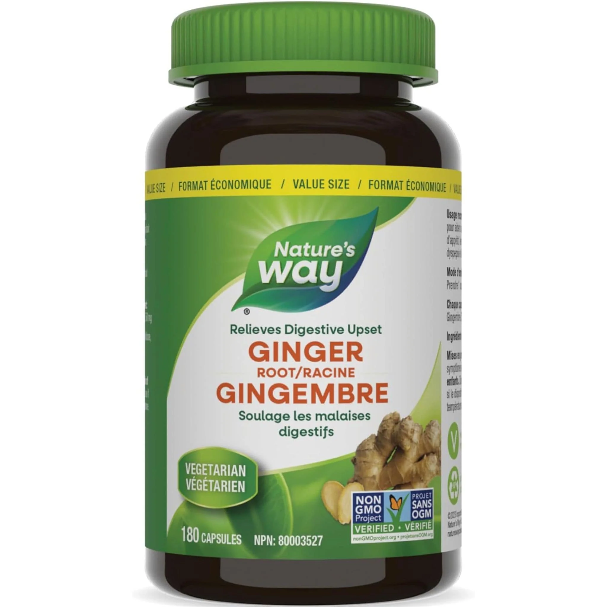 Nature's Way Ginger Root - Image 8