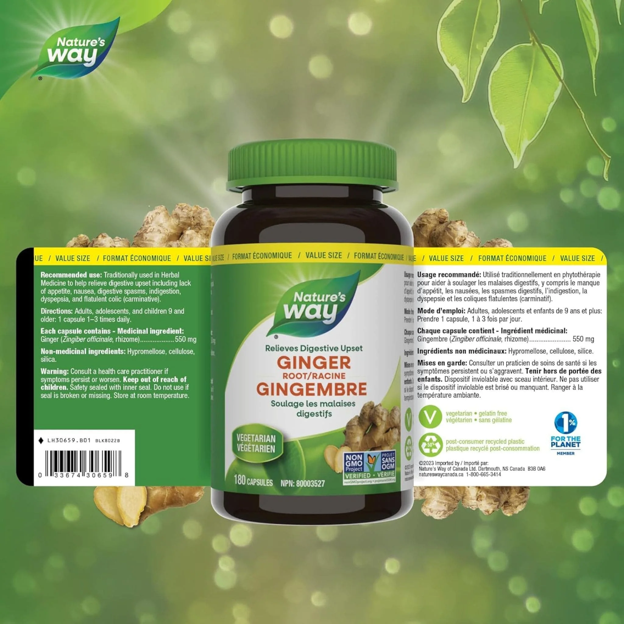 Nature's Way Ginger Root - Image 9