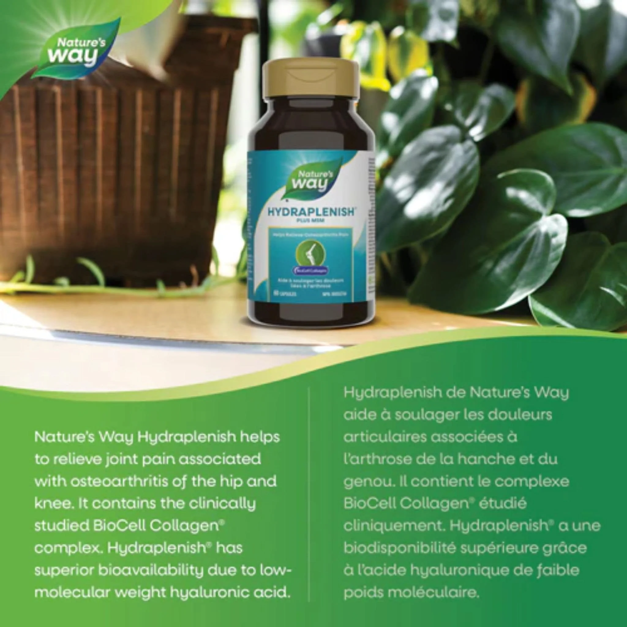 Nature's Way Hydraplenish with MSM & Hyaluronic Acid, 60 Vcaps - Image 3