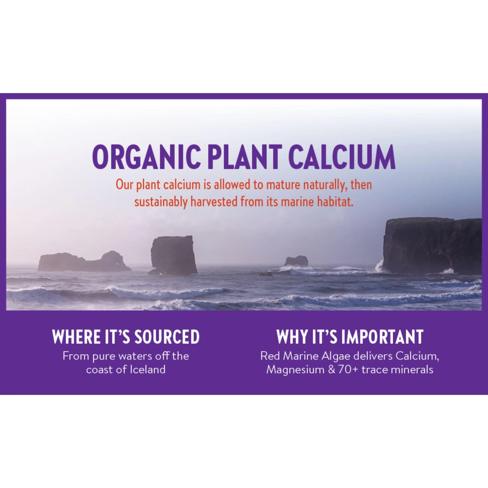 New Chapter Bone Strength Take Care Tablets - Image 10