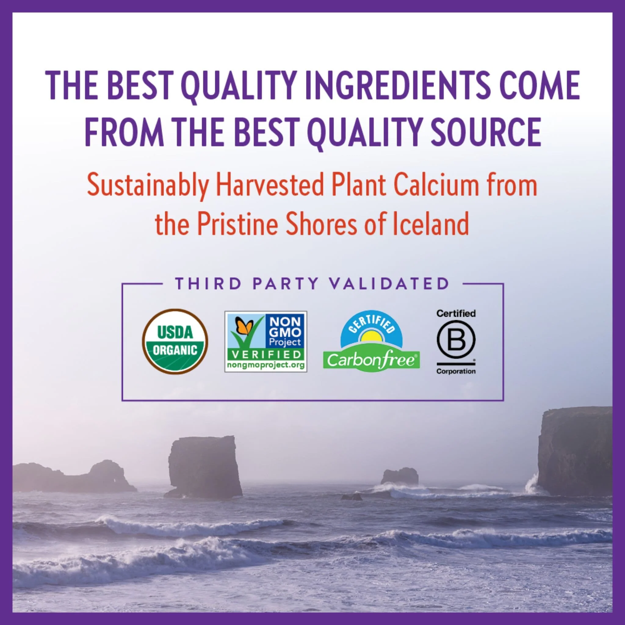 New Chapter Bone Strength Take Care Tablets - Image 7