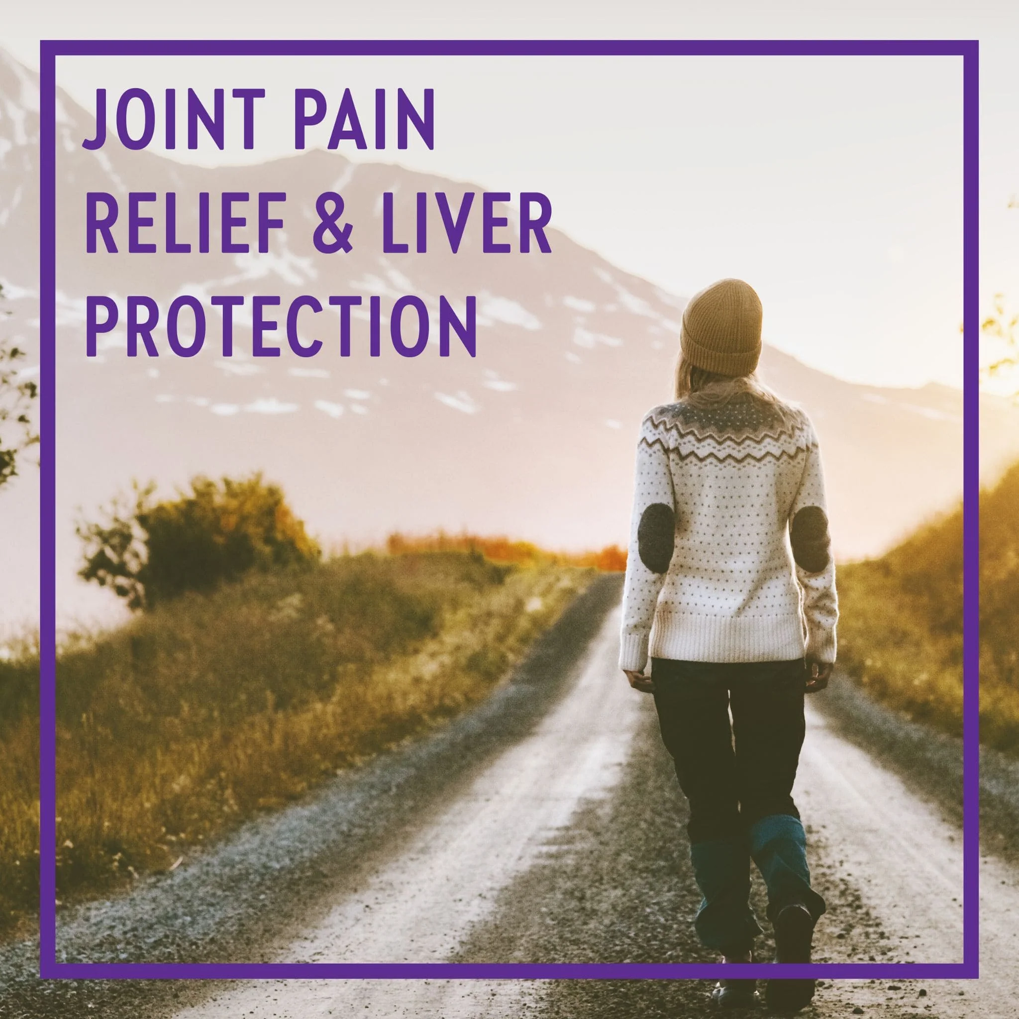 New Chapter Turmeric Force, 120 Capsules - Image 4