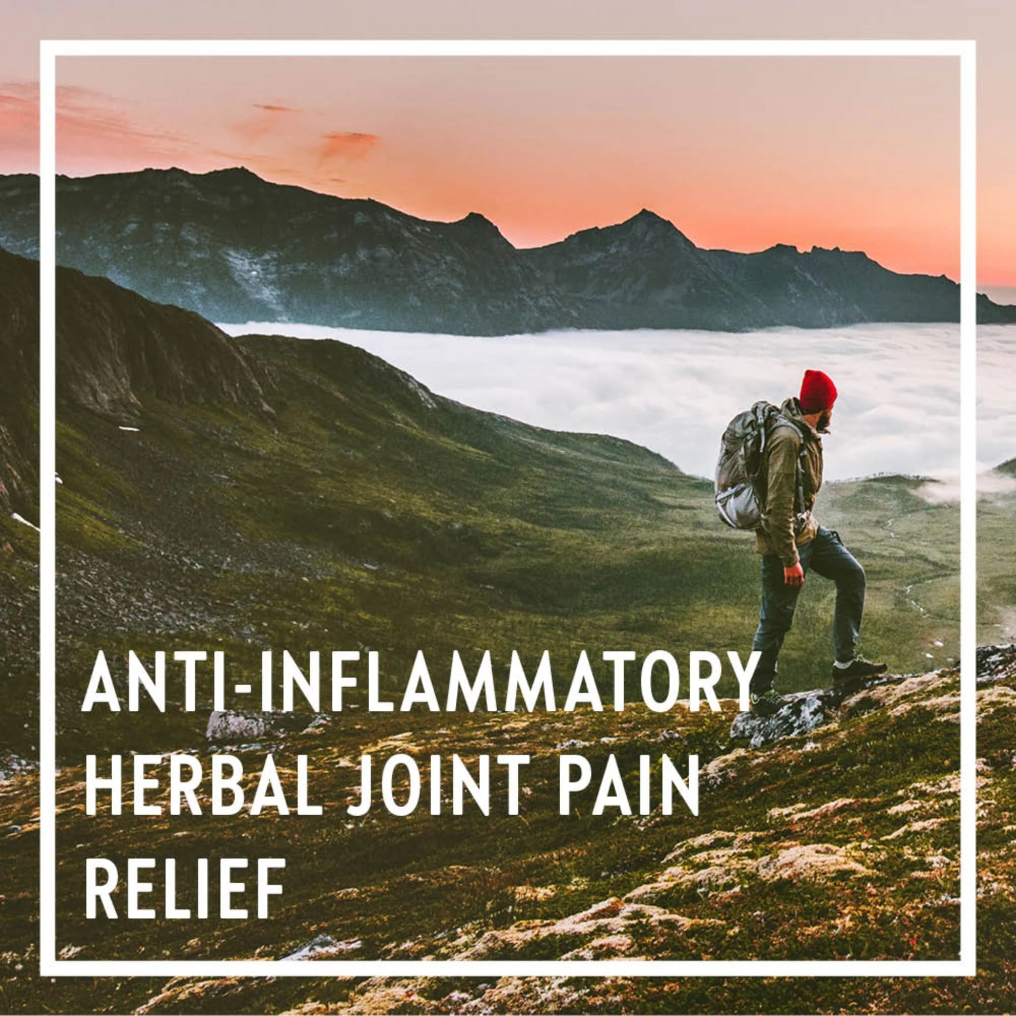 New Chapter Zyflamend (Herbal Joint Pain and Inflammation Reliever) - Image 5