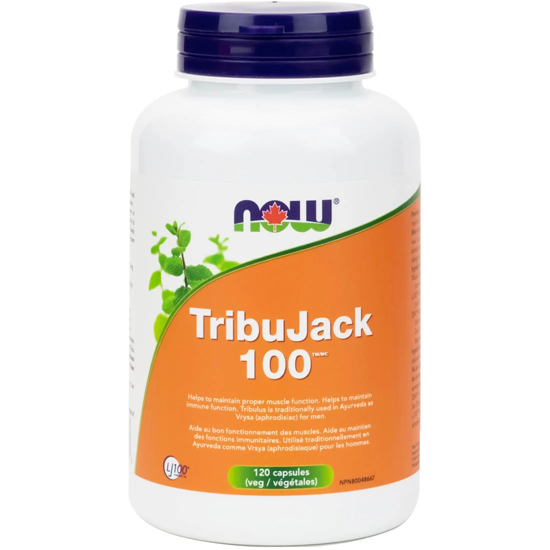 NOW TribuJack 100 with Longjack & ZMA (Male Performance Formula) - Image 7