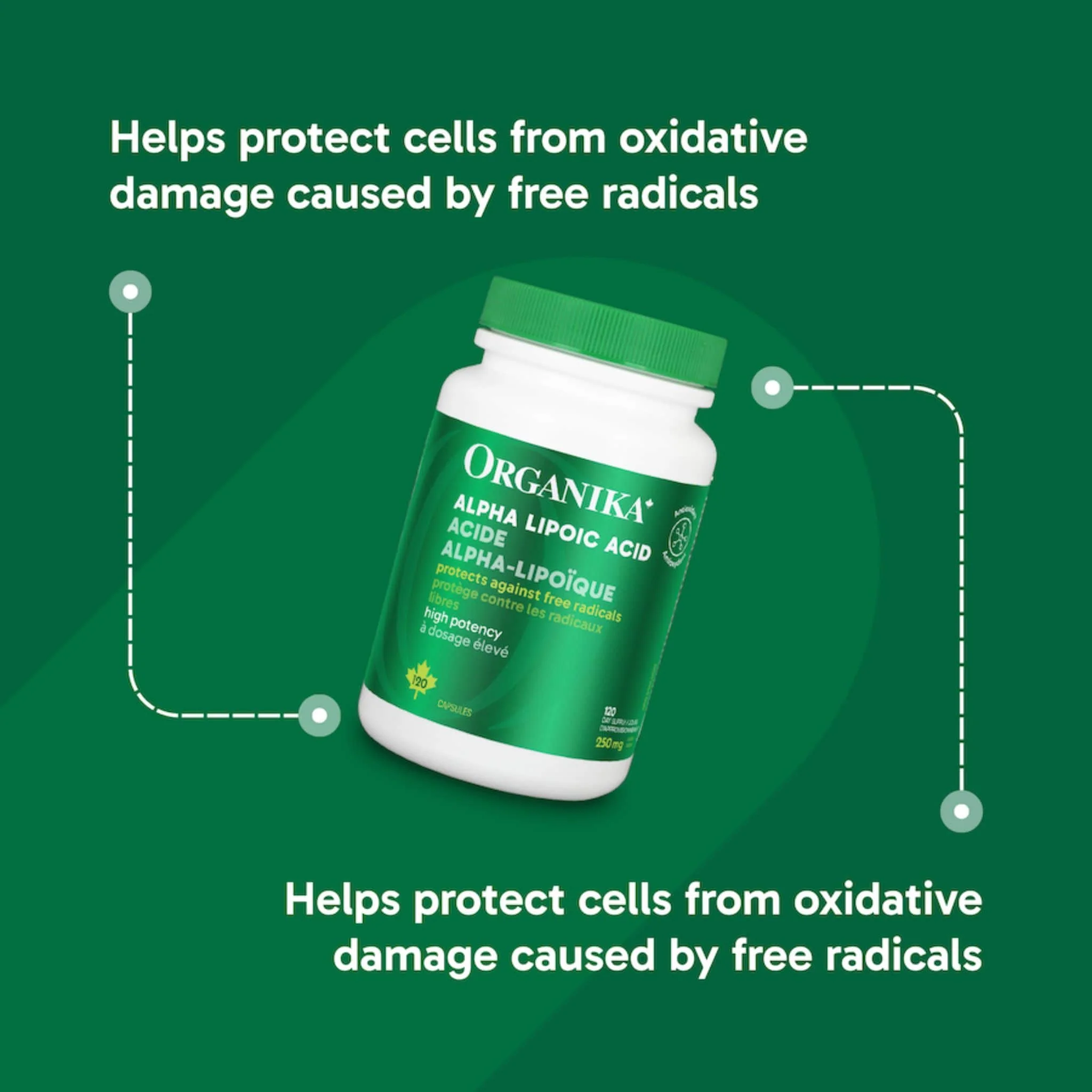 Organika Alpha Lipoic Acid, High Potency ALA 250mg, 120 Capsules - Image 6