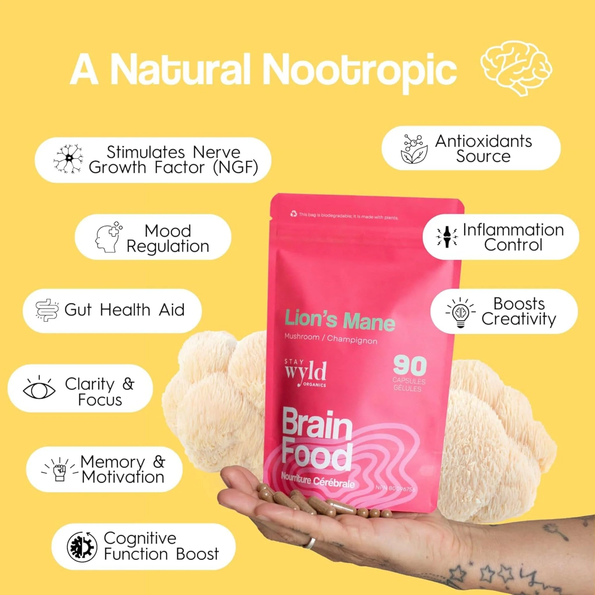 Stay Wyld Organics Brain Food, Lion's Mane (Memory & Brain Support), 90 Capsules - Image 3