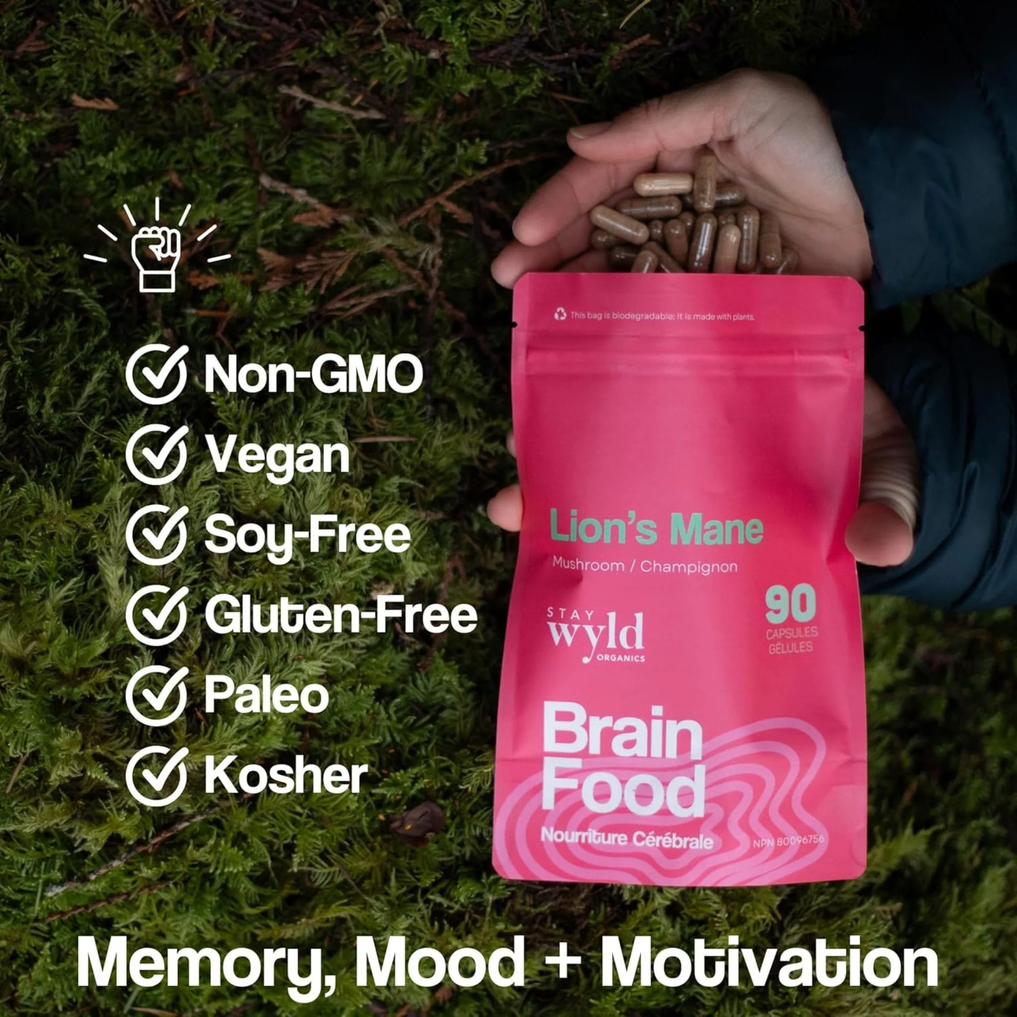 Stay Wyld Organics Brain Food, Lion's Mane (Memory & Brain Support), 90 Capsules - Image 4