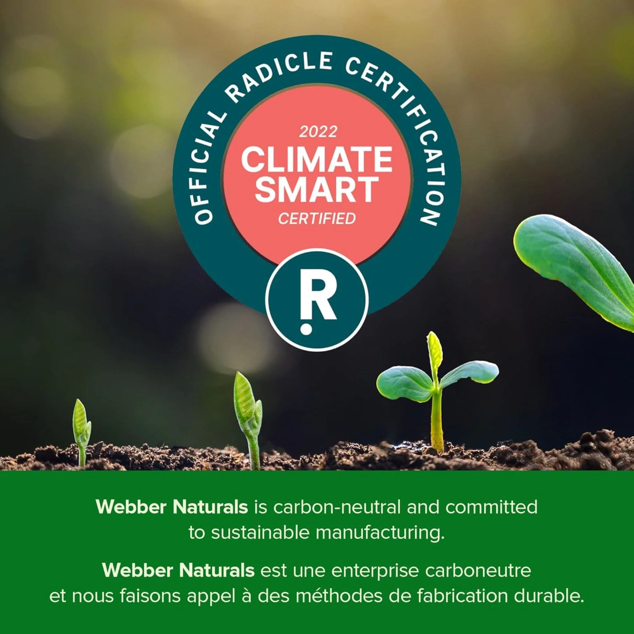 Webber Naturals Super NEM 500mg, Natural Eggshell Memberane, Helps Relieve Joint Pain, 30-90 Vegetable Capsules - Image 14